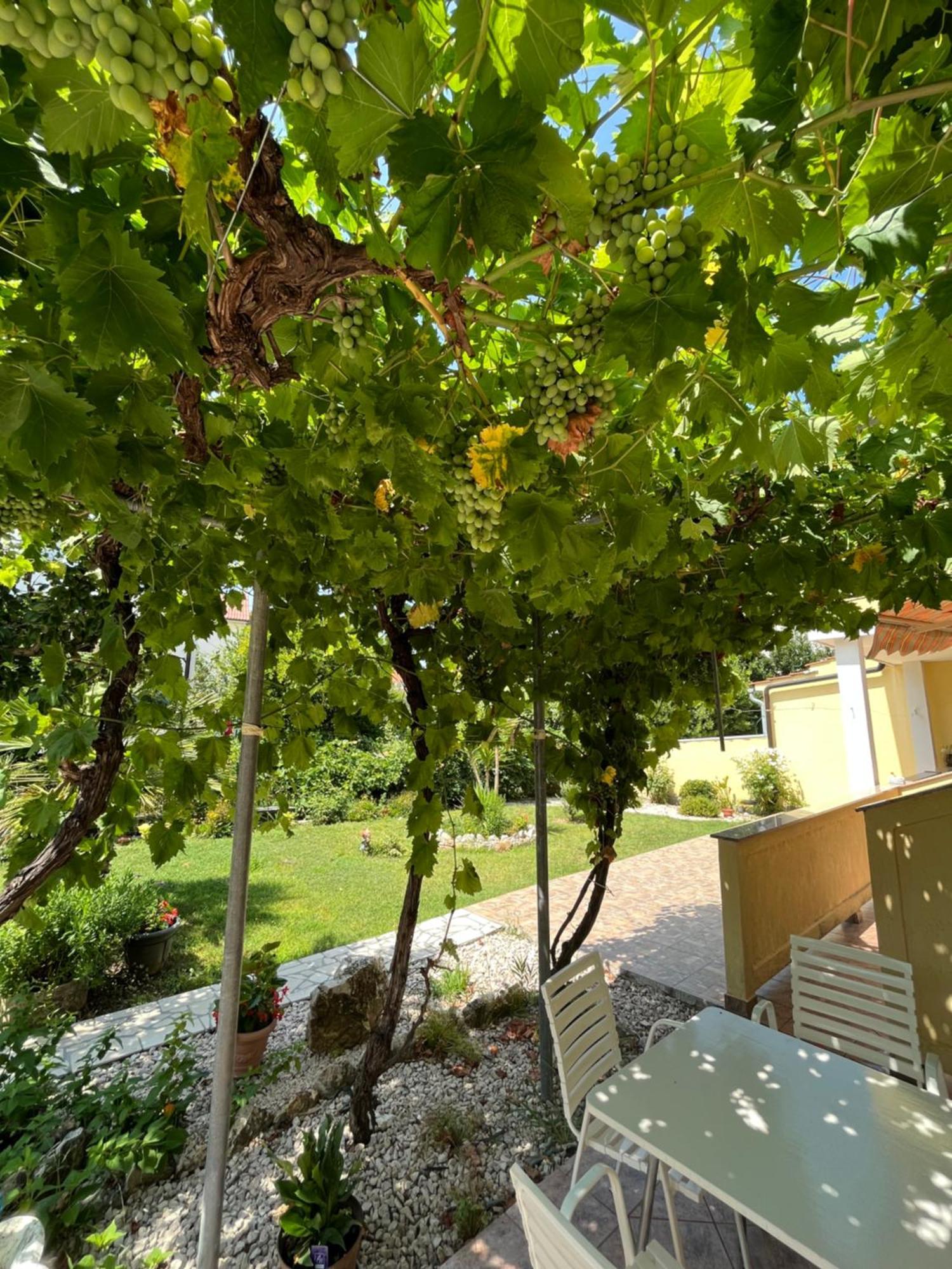 Palit Apartments And Rooms Markovski מראה חיצוני תמונה